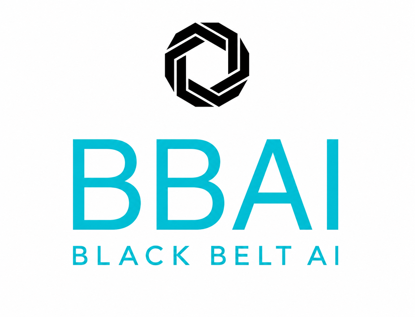 Black Belt AI