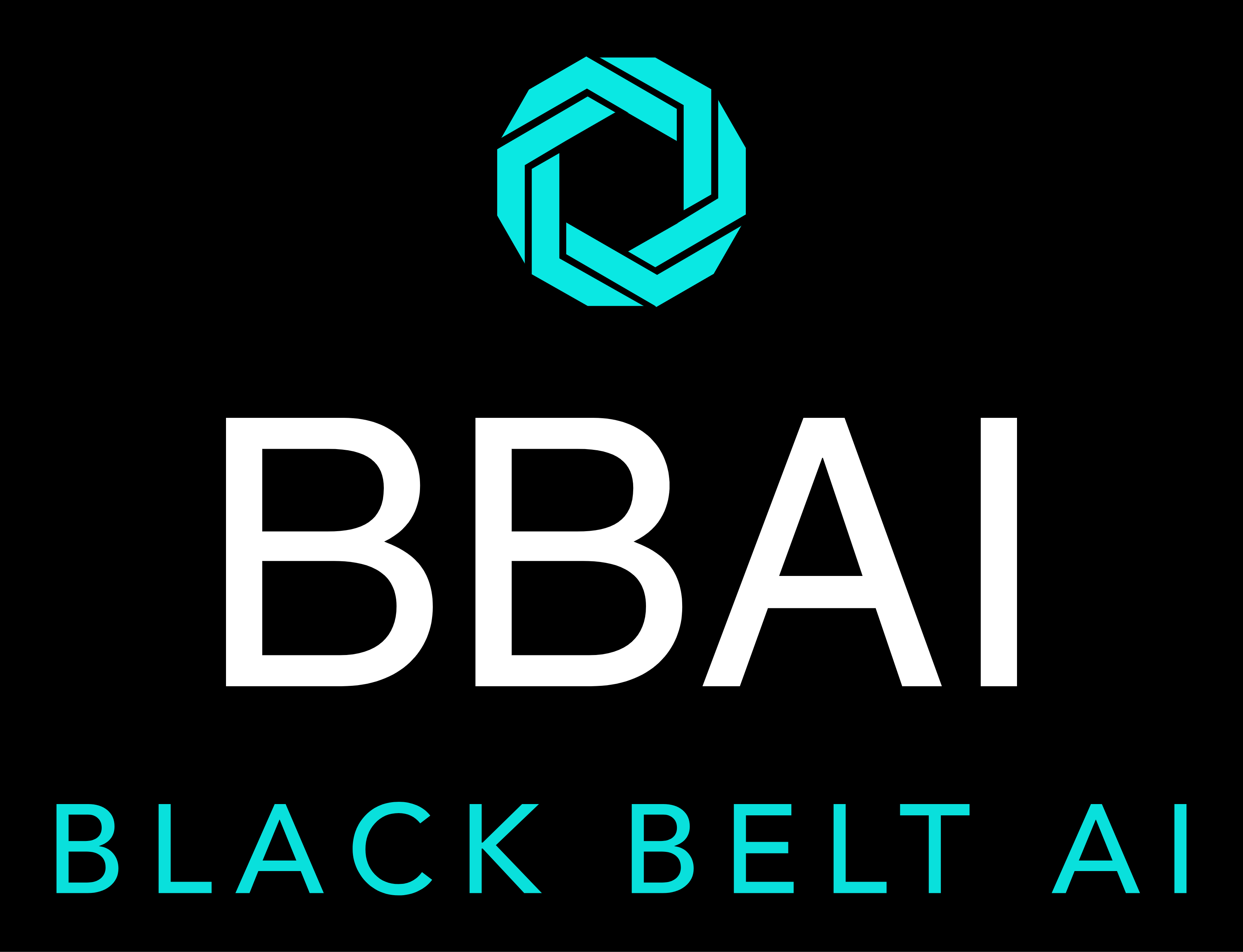 Black Belt AI